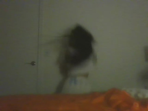 webcam porn online 3lla