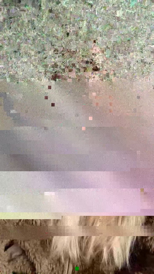  amygoth chat room