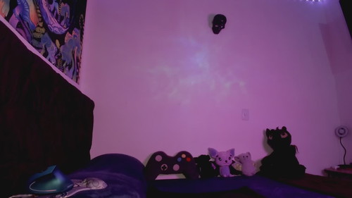 live porn chat AshGraven