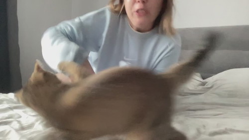 online sex cam Emberbunny