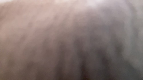 emberbunny Live Webcam on CherryTV