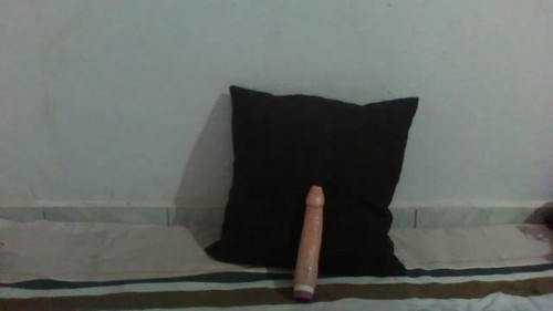 online cam sex Evasecret