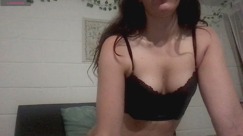 free online webcam Flexilexi