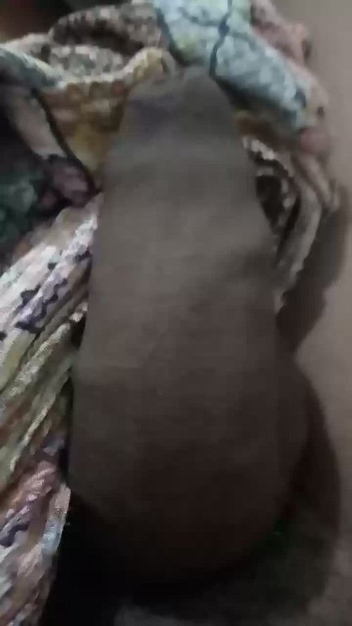 livesex chat Jagordon