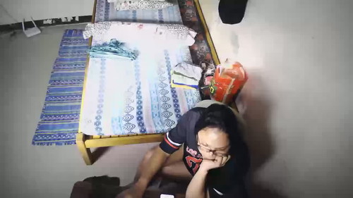 livecam Trans TS