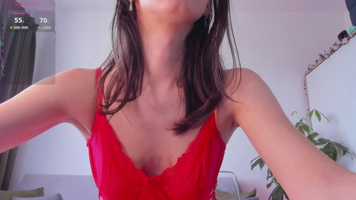 live cam feed Littledia