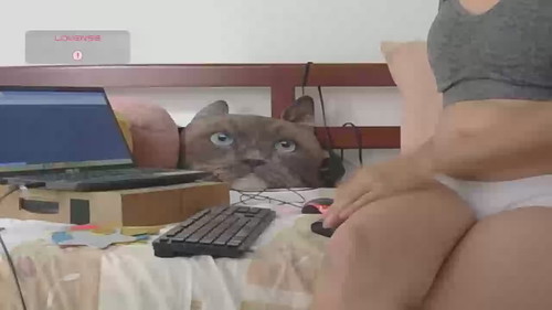 cam chat Lunamoon17