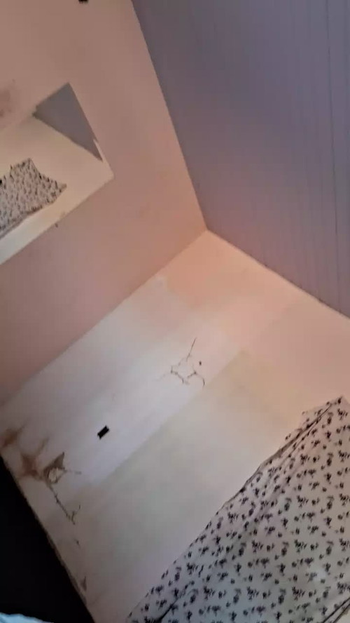 online porn web cam Manauara99