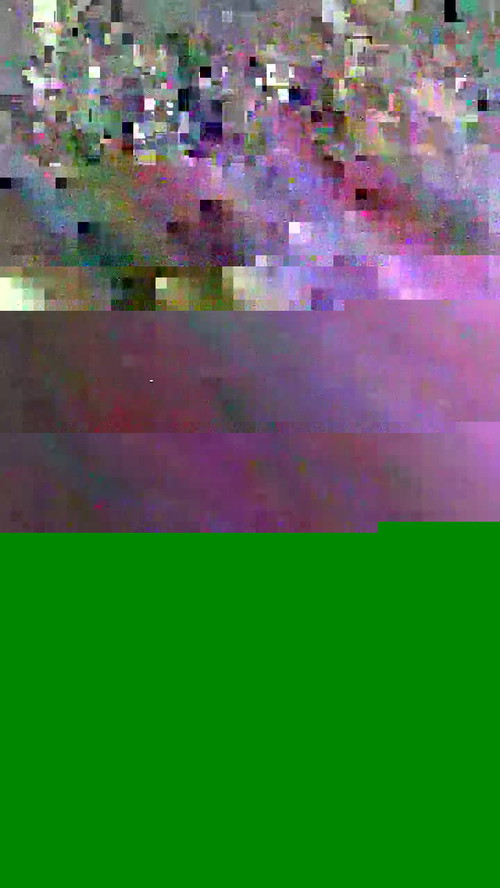 porn cam free Newebony