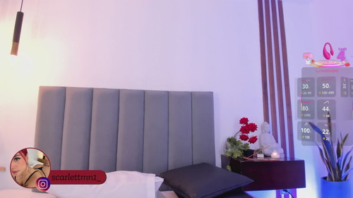 chat online free Scarlett Morgan