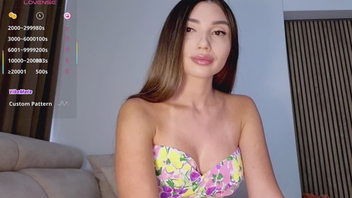 strip webcam Seremis