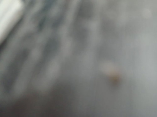 real web cam Sexycathy27