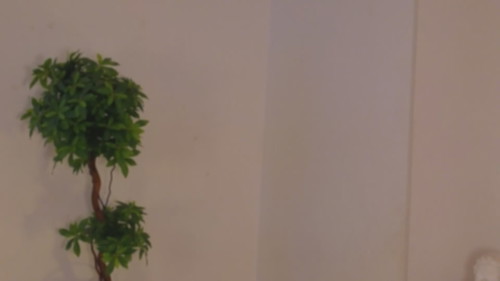live voyeur webcam Steshablond