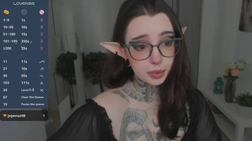 live cam to cam Dixi