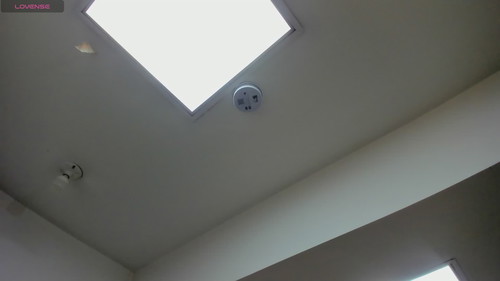 porn web cam Tamyhoney