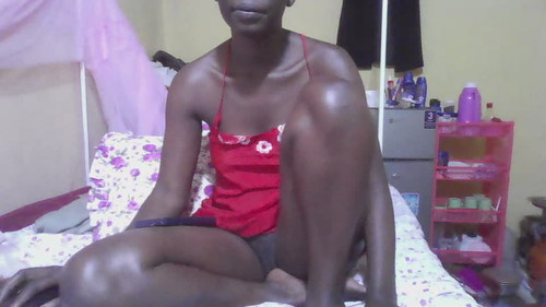 free webcam site Wildcookie