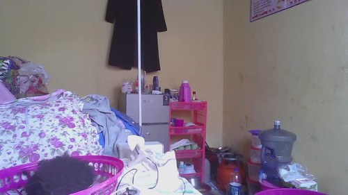 web cam sex chat Wildcookie