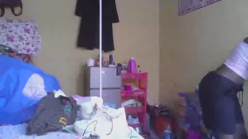 live nude porn Wildcookie