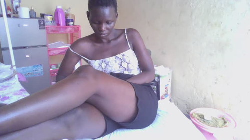 chat free online Wildcookie