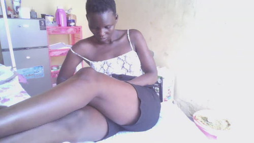 chat free online Wildcookie