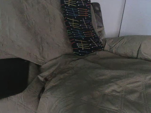 cam live sex Yourdandelion